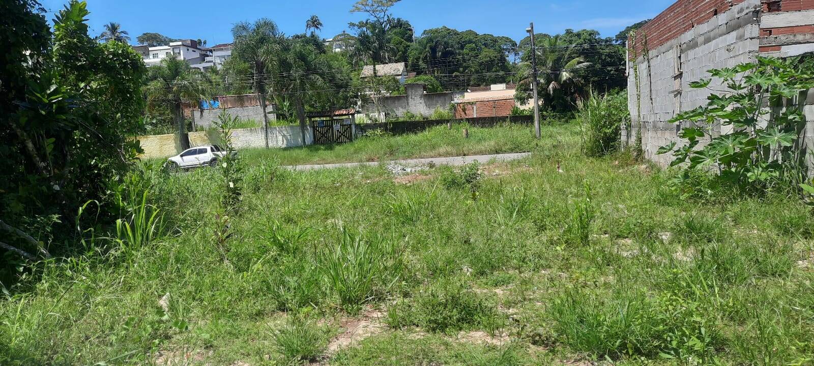 Terreno, 297 m² - Foto 1