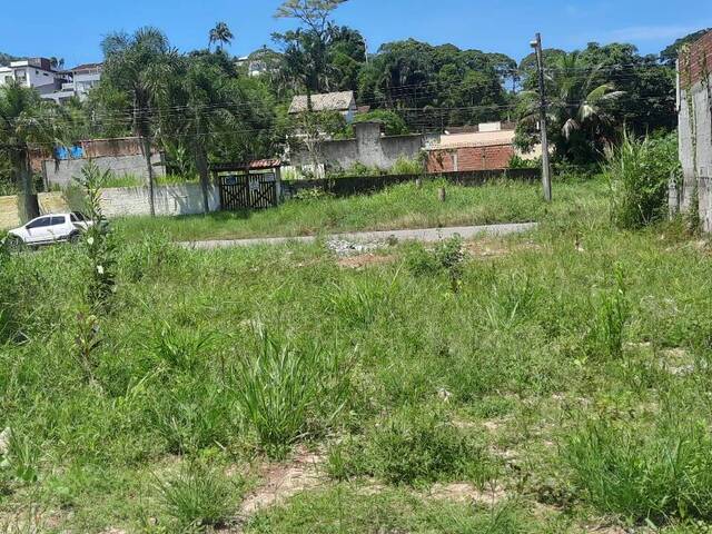 #L1091 - Área para Venda em Caraguatatuba - SP - 1