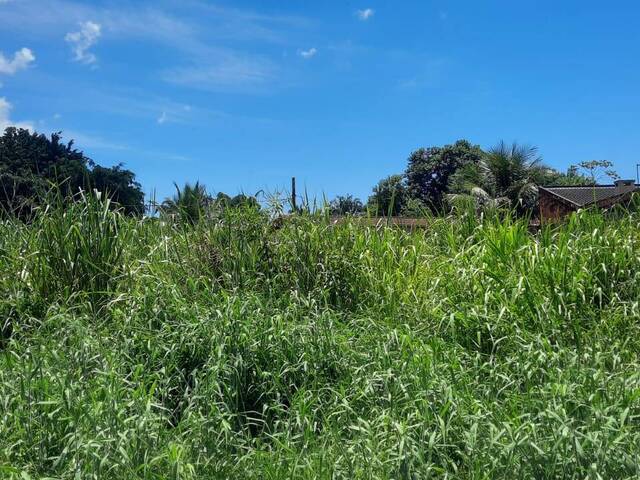#L1092 - Área para Venda em Caraguatatuba - SP - 1
