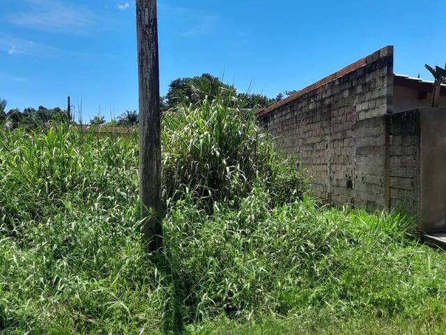 Área para Venda em Caraguatatuba - 5