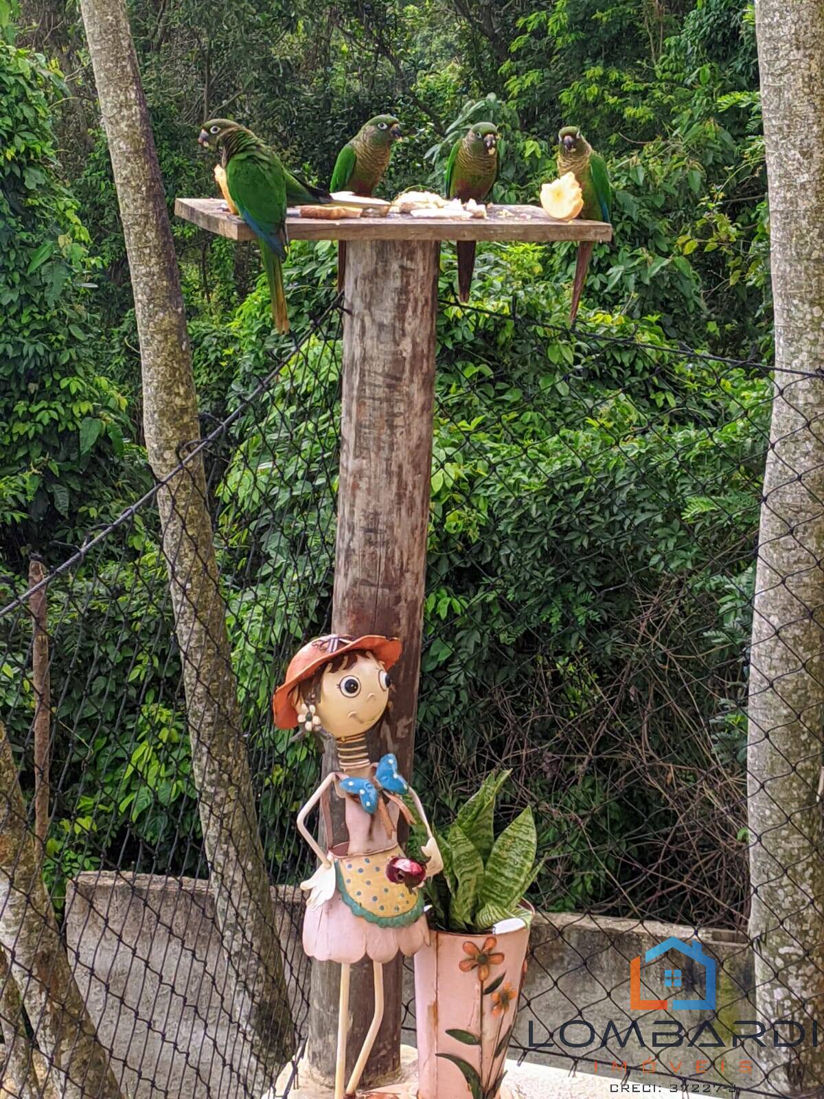 Casa, 7 quartos - Foto 13