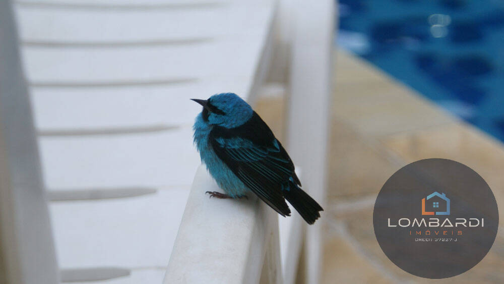 Prédio Inteiro, 1900 m² - Foto 23