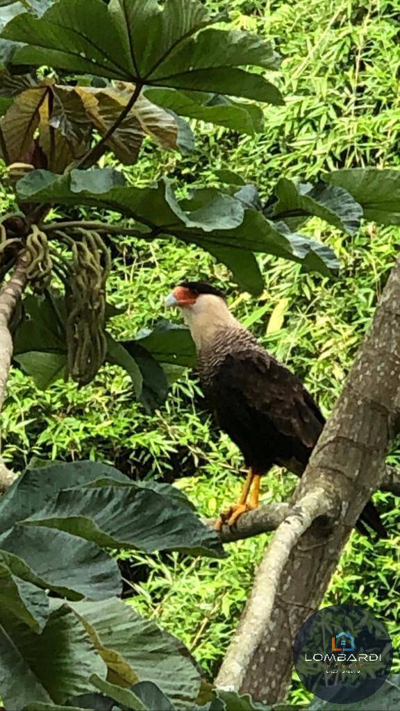 Apartamento, 3 quartos, 163 m² - Foto 11