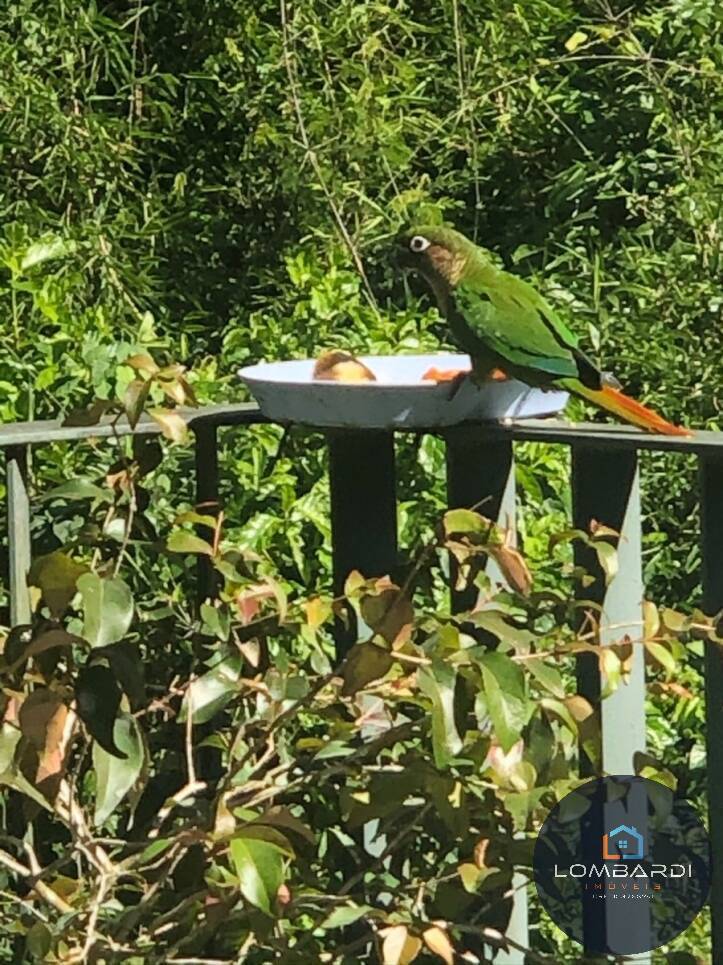 Apartamento, 3 quartos, 163 m² - Foto 12